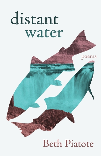 Paper book «distant water: poems», author Beth Piatote - фото №1