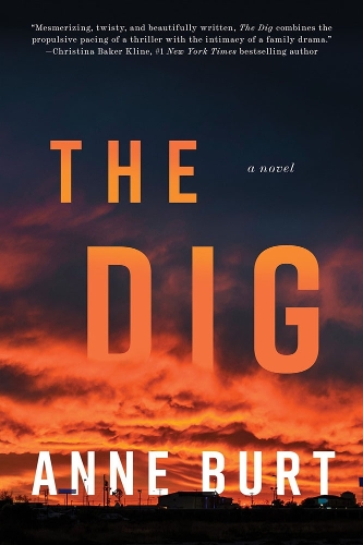 Бумажная книга «The Dig: A Novel», автор Энн Берт - фото №1