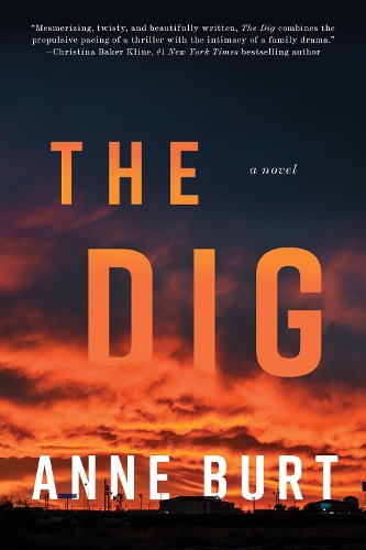 Бумажная книга «The Dig: A Novel», автор Энн Берт - фото №1