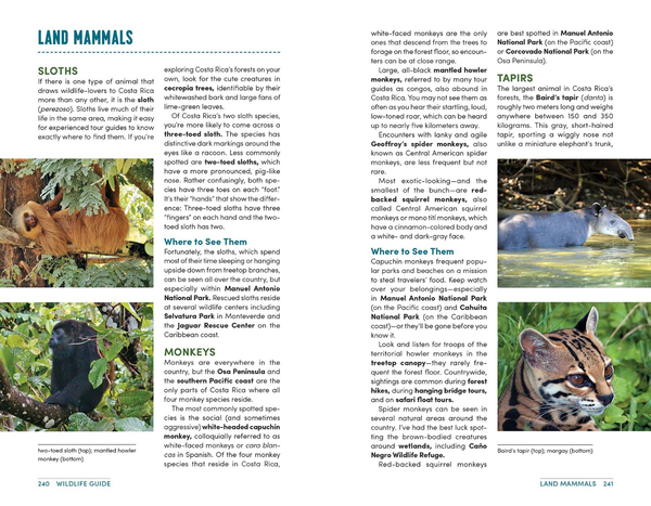Бумажная книга «Moon Best of Costa Rica», автор Никки Солано - фото №1
