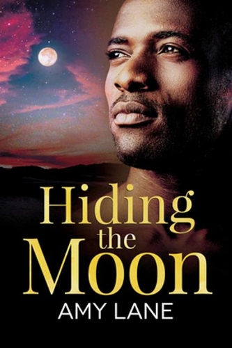Паперова книга «Hiding the Moon», автор Емі Лейн - фото №1