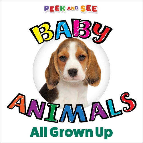 Паперова книга «Peek and See Baby Animals All Grown Up», автор Редактори "Happy Fox Books" - фото №1