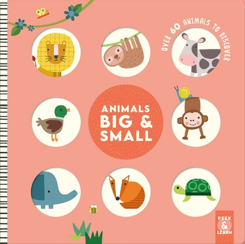 Паперова книга «Animals Big & Small: Over 60 Animals to Discover», автор Ребекка Вірасакера - фото №1