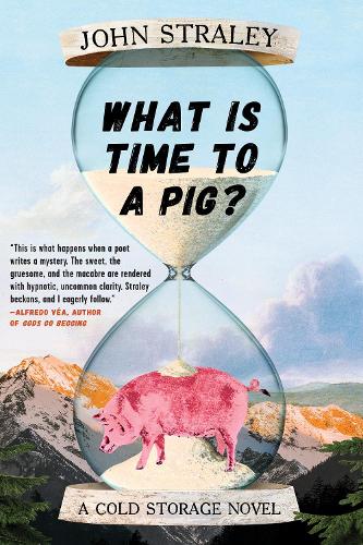 Паперова книга «What Is Time To A Pig?», автор Джон Стралі - фото №1