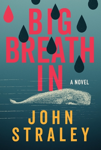 Паперова книга «Big Breath In», автор Джон Стралі - фото №1