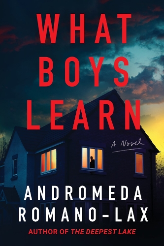Бумажная книга «What Boys Learn», автор Андромеда Романо-Лакс - фото №1