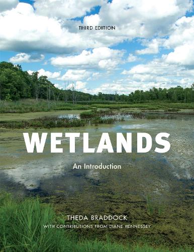 Бумажная книга «Wetlands: An Introduction», авторов Диана Хеннесси, Теда Брэддок - фото №1