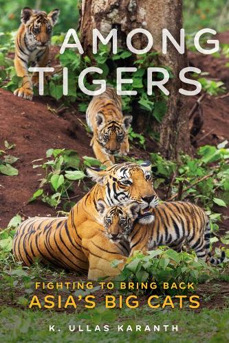 Паперова книга «Among Tigers: Fighting to Bring Back Asia's Big Cats», автор К. Уллас Карант - фото №1