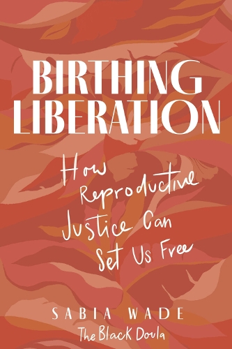 Паперова книга «Birthing Liberation: How Reproductive Justice Can Set Us Free», автор Сабія Вейд - фото №1