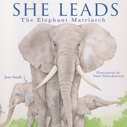 Паперова книга «She Leads: The Elephant Matriarch», автор Джун Смоллс - фото №1