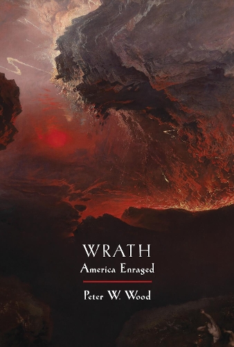 Паперова книга «Wrath: America Enraged», автор Пітер В. Вуд - фото №1
