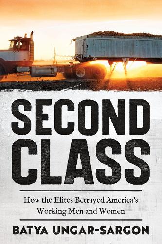 [object Object] «Promised Land: The Working Class Struggle for the American Dream», автор Батя Унгар-Саргон - фото №1