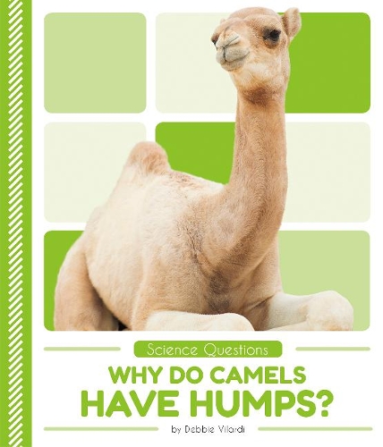 Бумажная книга «Science Questions: Why Do Camels Have Humps?», автор Дебби Виларди - фото №1