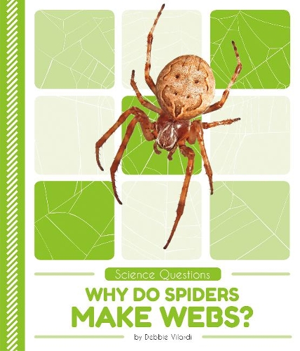 Бумажная книга «Science Questions: Why Do Spiders Make Webs?», автор Дебби Виларди - фото №1