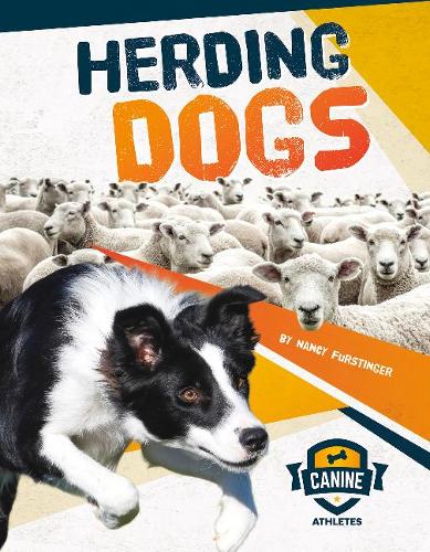 Бумажная книга «Canine Athletes: Herding Dogs», автор Нэнси Фёрстингер - фото №1