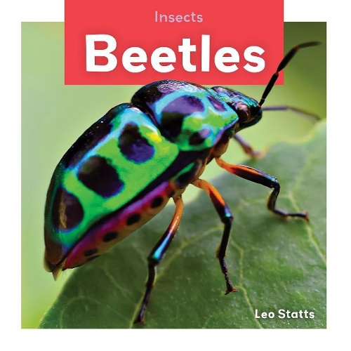 Бумажная книга «Beetles», автор Лео Статтс - фото №1