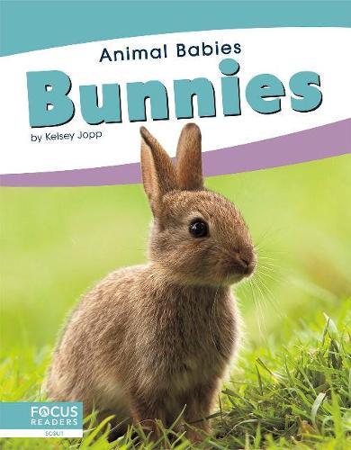Паперова книга «Bunnies», автор Келсі Джопп - фото №1