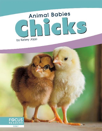Паперова книга «Chicks», автор Келсі Джопп - фото №1