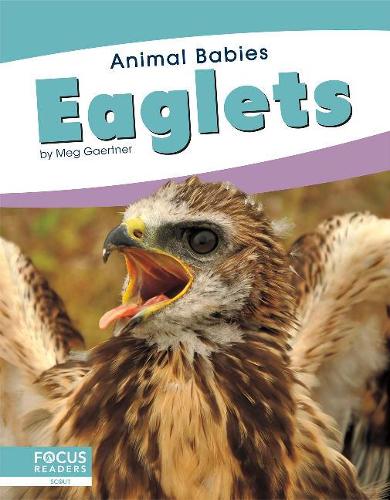 Паперова книга «Eaglets», автор Мег Гаертнер - фото №1
