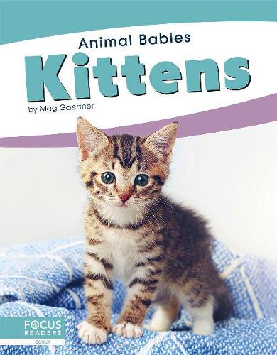 Бумажная книга «Kittens», автор Мег Гаертнер - фото №1