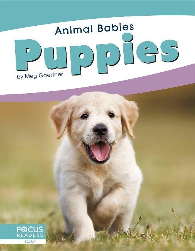 Паперова книга «Puppies», автор Мег Гаертнер - фото №1