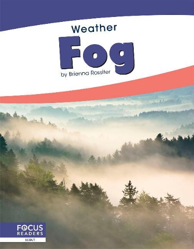 Бумажная книга «Fog», автор Бриенна Росситер - фото №1