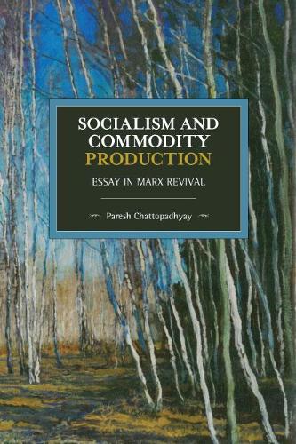 Паперова книга «Socialism and Commodity Production: Essay in Marx Revival», автор Пареш Чаттопадхяй - фото №1