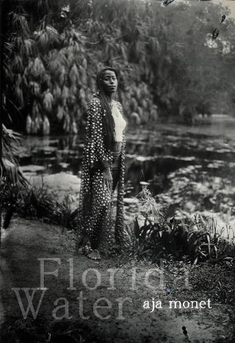 Бумажная книга «Florida Water: Poems», автор Ая Моне - фото №1