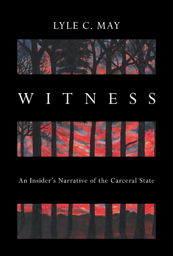 Паперова книга «Witness: An Insider's Narrative of the Carceral State», автор Лайл К. Мей - фото №1