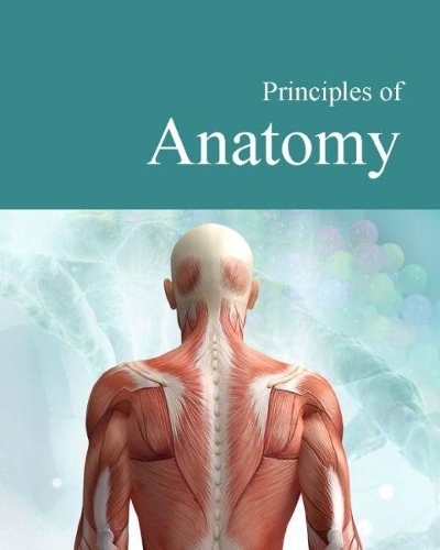 [object Object] «Principles of Anatomy», автор Salem Press - фото №1