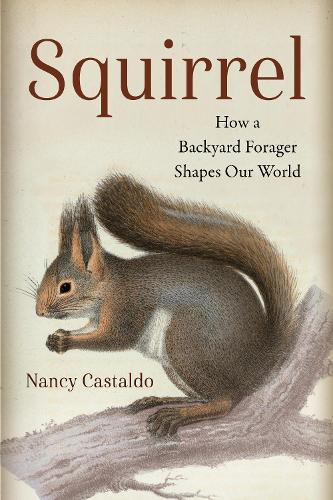 Paper book «Squirrel: How a Backyard Forager Shapes Our World», author Nancy Castaldo - фото №1