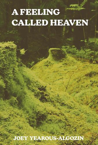 Бумажная книга «A Feeling Called Heaven», автор Джоуи Ероус-Алгозин - фото №1