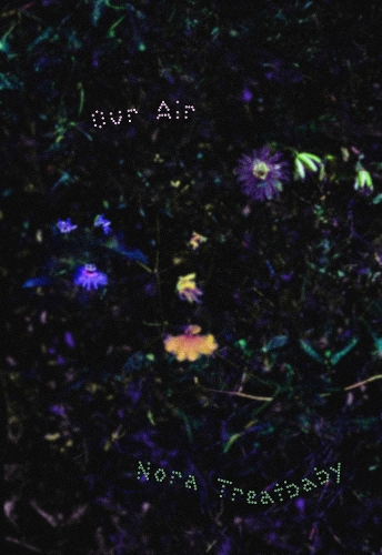 Бумажная книга «Our Air», автор Нора Тритбеби - фото №1