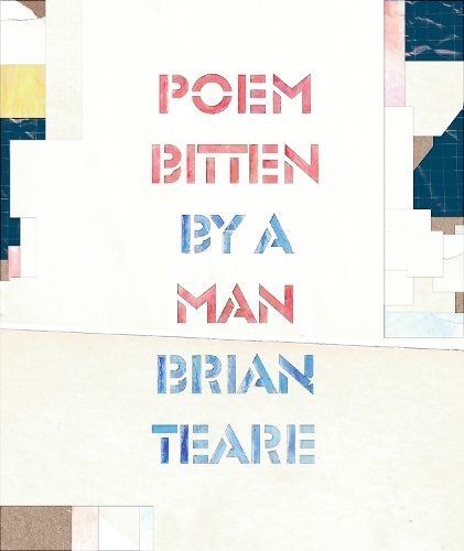 Бумажная книга «Poem Bitten By a Man», автор Брайан Тир - фото №1