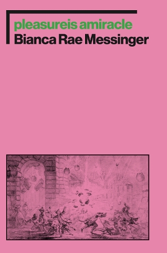 Бумажная книга «pleasureis amiracle», автор Бьянка Рэй Мессинджер - фото №1