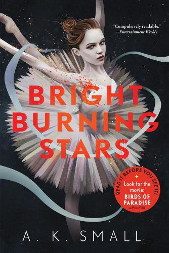 Бумажная книга «Bright Burning Stars», автор А.К. Смолл - фото №1