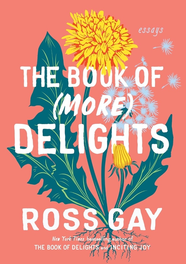 Бумажная книга «The Book of (More) Delights: Essays», автор Росс Гей - фото №1