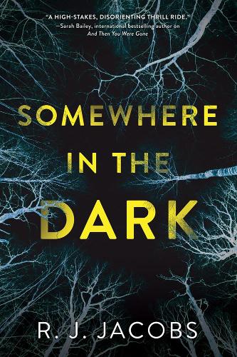 Бумажная книга «Somewhere In The Dark», автор Р. Дж. Джейкобс - фото №1