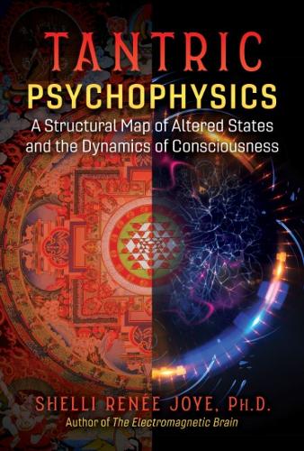 Бумажная книга «Tantric Psychophysics: A Structural Map of Altered States and the Dynamics of Consciousness», автор Шелли Рене Джой - фото №1
