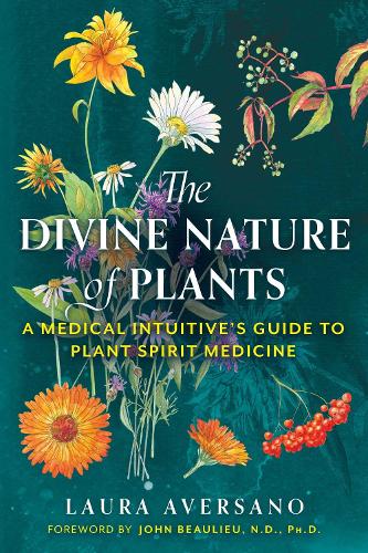 Бумажная книга «The Divine Nature of Plants: A Medical Intuitive's Guide to Plant Spirit Medicine», автор Лаура Аверсано - фото №1