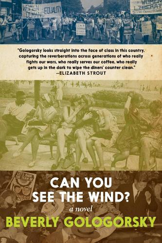 Бумажная книга «Can You See The Wind?», автор Беверли Гологорски - фото №1