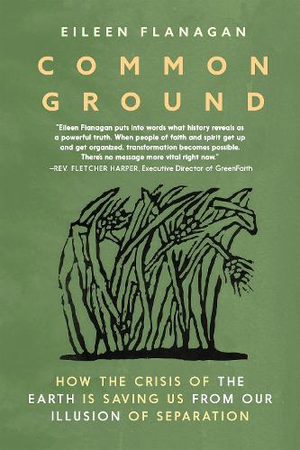 Бумажная книга «Common Ground: Stories of Resistance and Healing from the Movement to Protect the Earth», автор Эйлин Фланаган - фото №1