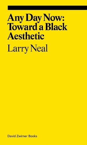 Паперова книга «Any Day Now: Toward a Black Aesthetic», автор Ларрі Ніл - фото №1