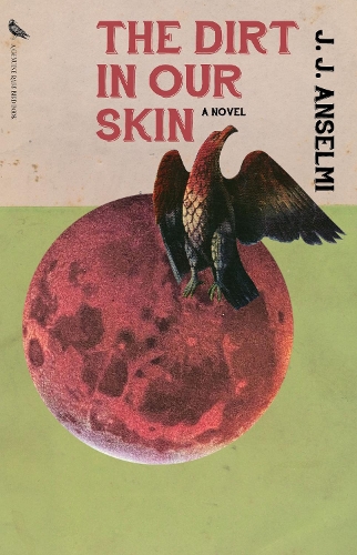 Бумажная книга «The Dirt in Our Skin», автор Дж. Дж. Ансельми - фото №1