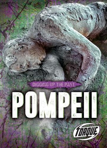 Бумажная книга «Pompeii», автор Эмили Роуз Оакс - фото №1