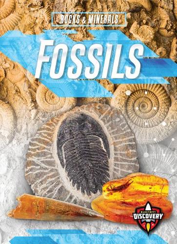 Бумажная книга «Fossils», автор Патрик Периш - фото №1