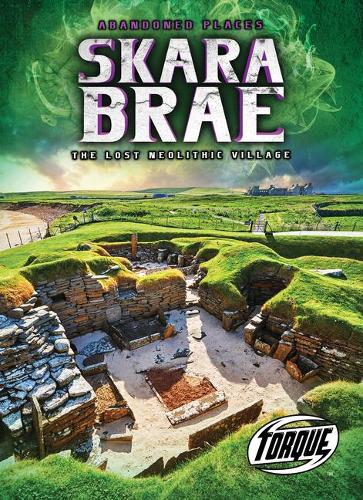 Бумажная книга «Skara Brae: The Lost Neolithic Village», автор Лиза Оуингс - фото №1