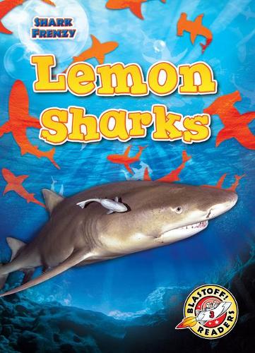 Бумажная книга «Lemon Sharks», автор Ребекка Петтифорд - фото №1