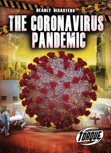 Бумажная книга «The Corona Virus Pandemic», автор Натан Соммер - фото №1