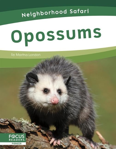 Бумажная книга «Opossums», автор Марта Лондон - фото №1